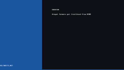 Arayat Farmers Get — Arayat farmers get livelihood from DENR | PhilTweets