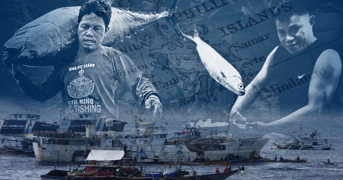 Commercial Fishing Intrusions — Commercial fishing intrusions in municipal waters hit 5-year | PhilTweets